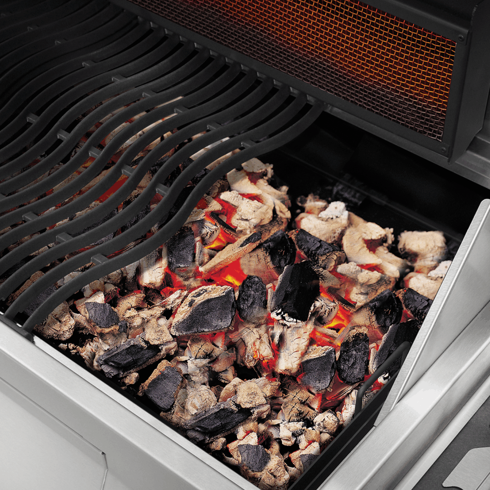 Napoleon Professional Grill PRO605 Charcoal Grill BBQ